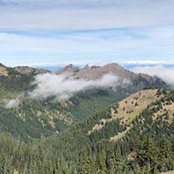 Jeff Smith's photo