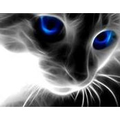 Foto di Tif Mo