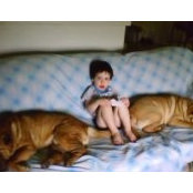 Christine Beck's photo