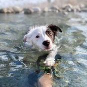 Elizabeth Firestone's photo