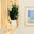 Brochard Designs LLC