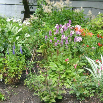 Summer Flowerbed