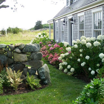 Front Entry Plantings