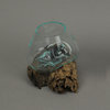 Melted Glass On Teak Driftwood Decorative Bowl/Vase/Terrarium Planter