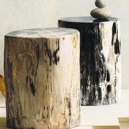 Roost Petrified Wood Stools - SKU: F841 - Furniture