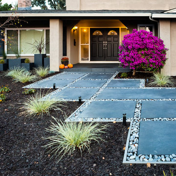 Santa Clara Modern