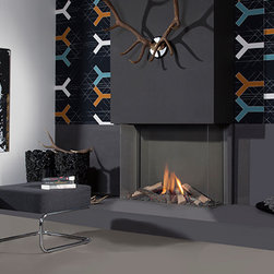 Element4 Gas Fireplace - Indoor Fireplaces