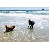 Carmina Delfosse's photo