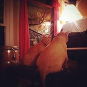 Dave Weinstein's photo