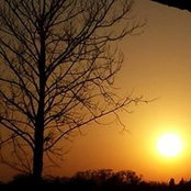 Chrissie Ward's photo