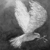 Julie Moore's photo