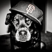 Reuben B.'s photo