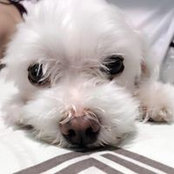 Evin Teo's photo