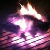 Lana Robbins's photo