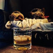 Trevor Wong's photo
