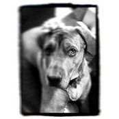 Mike Arnspiger's photo
