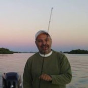 David Hritcu's photo