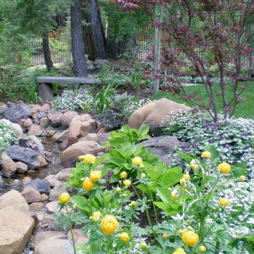 Shade garden and water feature