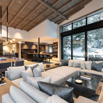 Modern Vail Custom Home