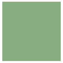 Paint Colors