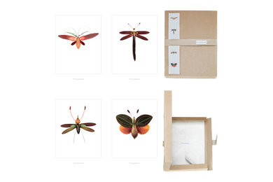 "Butterflies and Dragonflies" 4-Piece Image Box Set