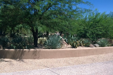 Design ideas for a southwestern landscaping in Phoenix.