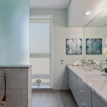 LEED Platinum Chicago Rowhome