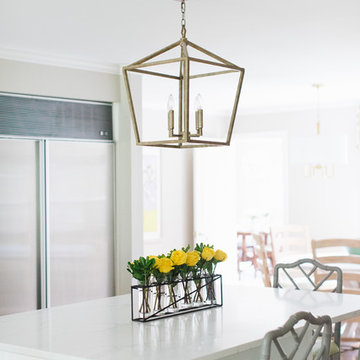Lake Forest Refreshed Traditional Home
