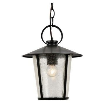 Crystorama AND-9203-SD-MK Andover - One Light Outdoor Chandelier