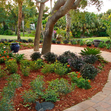 Front Yard/Back Yard/Pool Landscapes