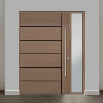 Pivot Door Collection DB-PVT-B1