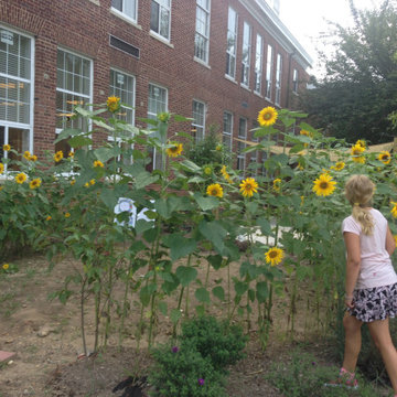 Outdoor Classroom
