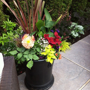 Poolside Patio and Containers