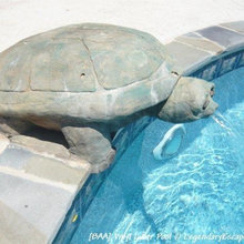 Kippys Pool