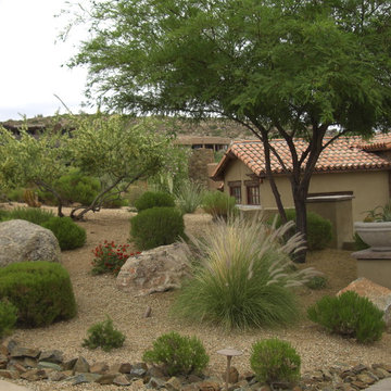 Modern Desert Projects