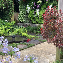 Water Feature