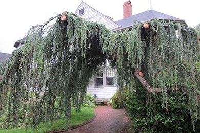 Photo of a landscaping in Boston.