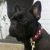 Christine Donda's photo
