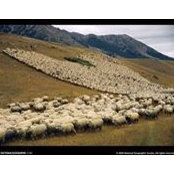 Martin Štefan's photo