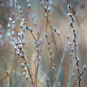 Pat Stanbridge-Mcclellan's photo