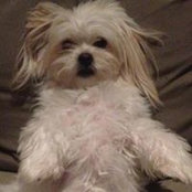 Sharon McCormack's photo