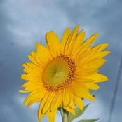 Foto di Trish d'Entremont