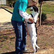 Cheryl Nall's photo