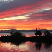 Debra Zee's photo
