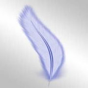 Holly Feathers foto