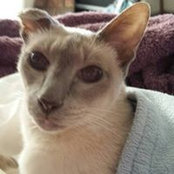 Nancy Linville's photo