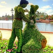 Shiva Adham's photo