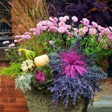 Fall Planters