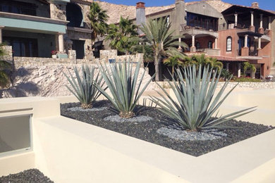 Photo of a landscaping in San Diego.