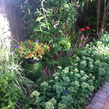 Pet Worth Fragrance Garden